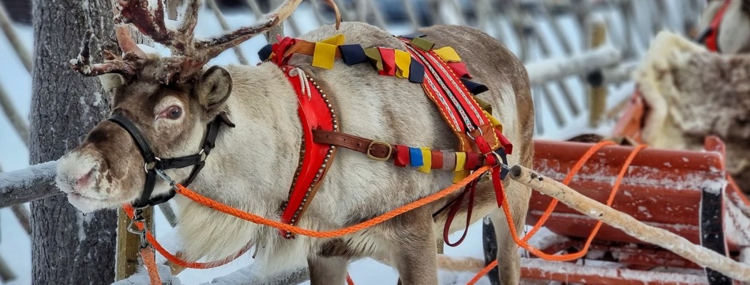 POBARVANKE Z NAŠIH POTI: 2850 KM DO BOŽIČKA IN DOBRODOŠLI NA LAPONSKI Z ANUŠKO, LARO IN PETROM