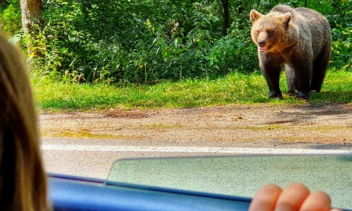 POBARVANKE Z NAŠIH POTI: Romunija, divja lepotica na obrobju Evrope z Anuško, Laro in Petrom